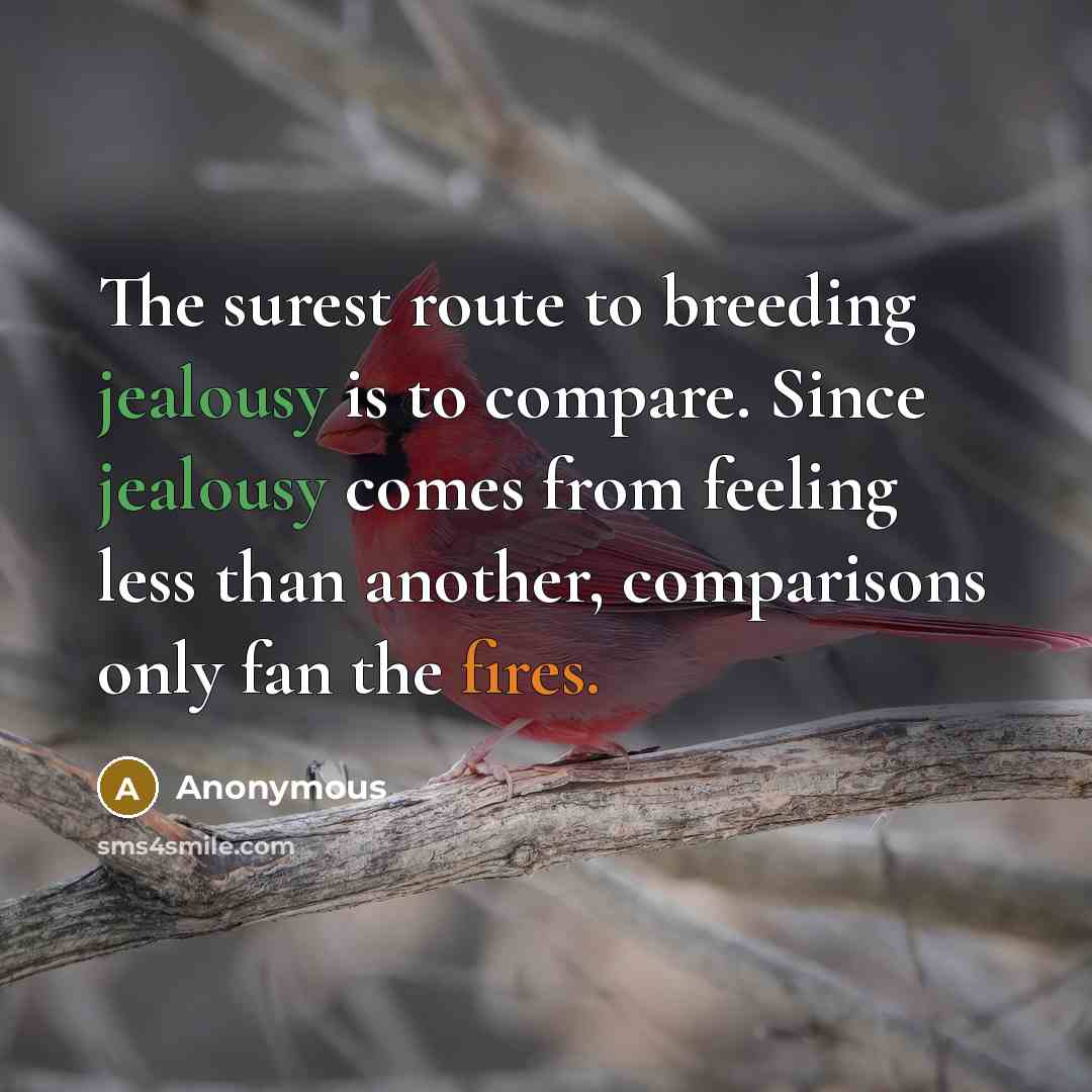 “The surest route to breeding jealousy is to compare. Since jealousy comes from feeling less than another, comparisons only fan the fires.” quote by Anonymous