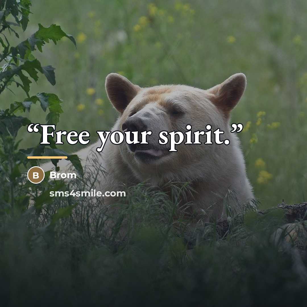 “Free your spirit.” quote by Brom