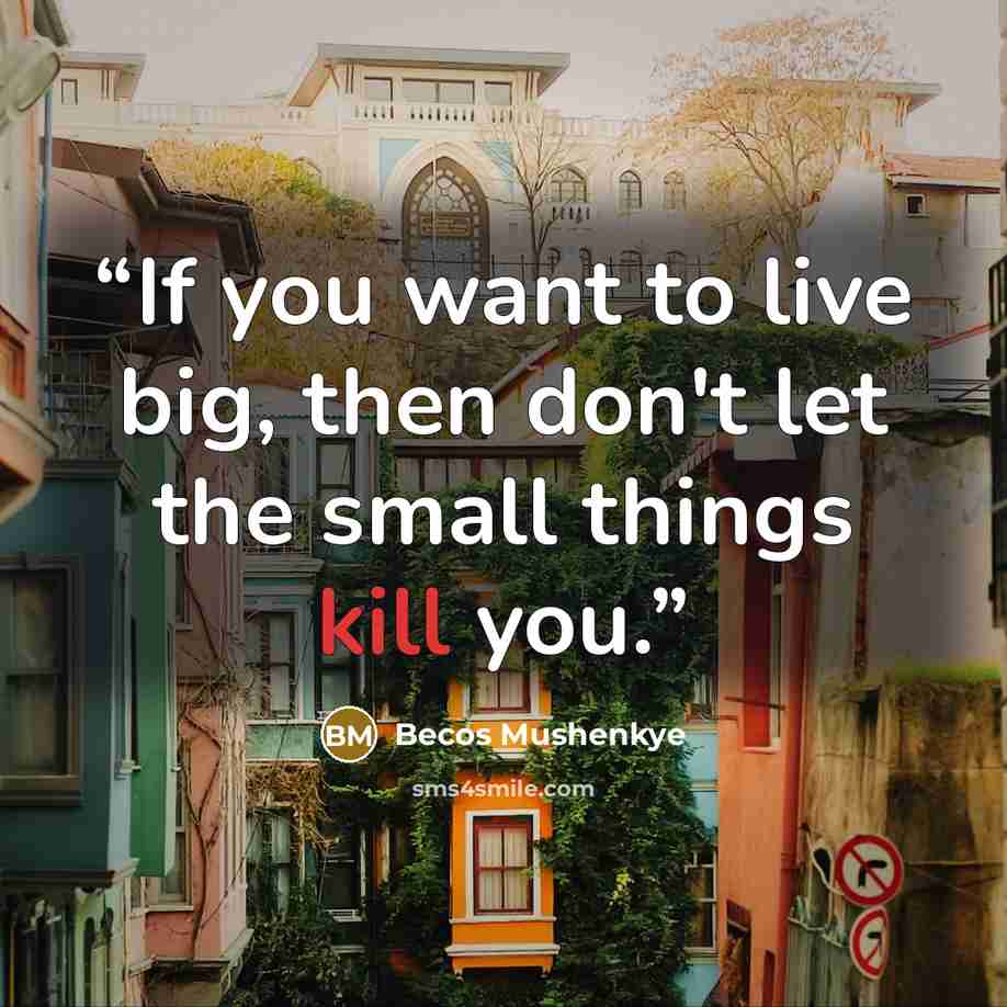 “If you want to live big, then don't let the small things kill you.” quote by Becos Mushenkye
