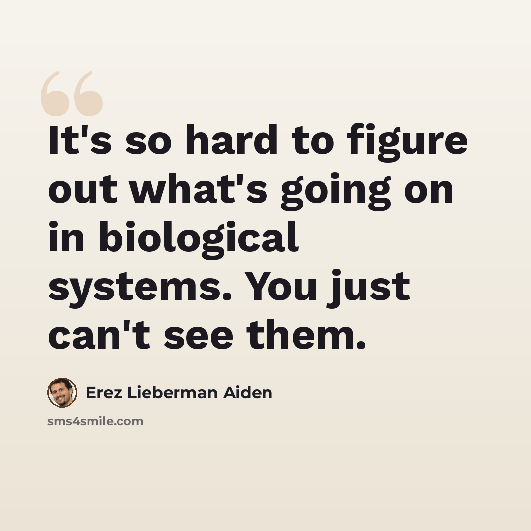 “It's so hard to figure out what's going on in biological systems. You just can't see them.” quote by Erez Lieberman Aiden