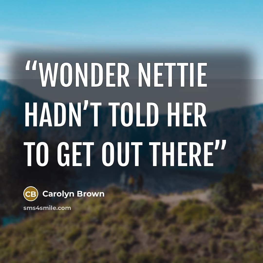 “wonder Nettie hadn’t told her to get out there” quote by Carolyn Brown