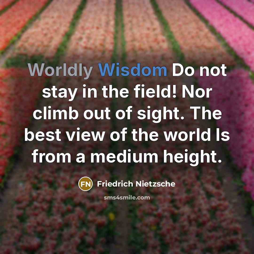 “Worldly Wisdom Do not stay in the field! Nor climb out of sight. The best view of the world Is from a medium height.” quote by Friedrich Nietzsche