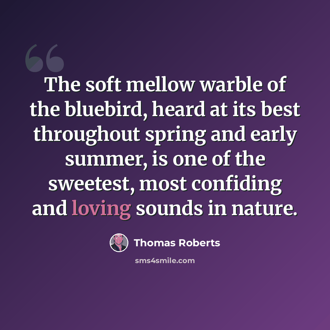 “The soft mellow warble of the bluebird, heard at its best throughout spring and early summer, is one of the sweetest, most confiding and loving sounds in nature.” quote by Thomas Roberts