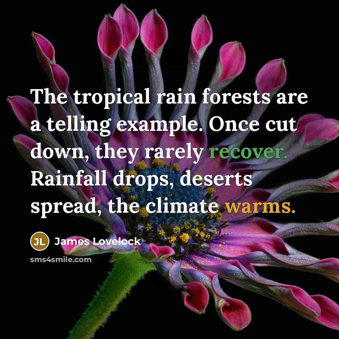 “The tropical rain forests are a telling example. Once cut down, they rarely recover. Rainfall drops, deserts spread, the climate warms.” quote by James Lovelock