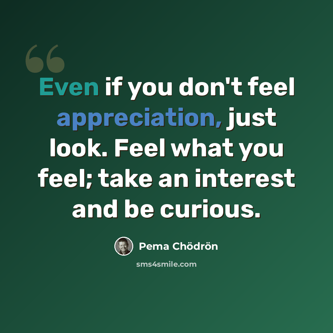 “Even if you don't feel appreciation, just look. Feel what you feel; take an interest and be curious.” quote by Pema Chodron