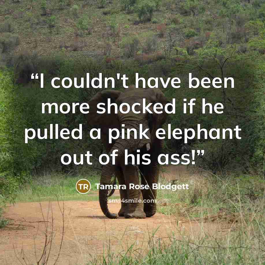 “I couldn't have been more shocked if he pulled a pink elephant out of his ass!” quote by Tamara Rose Blodgett