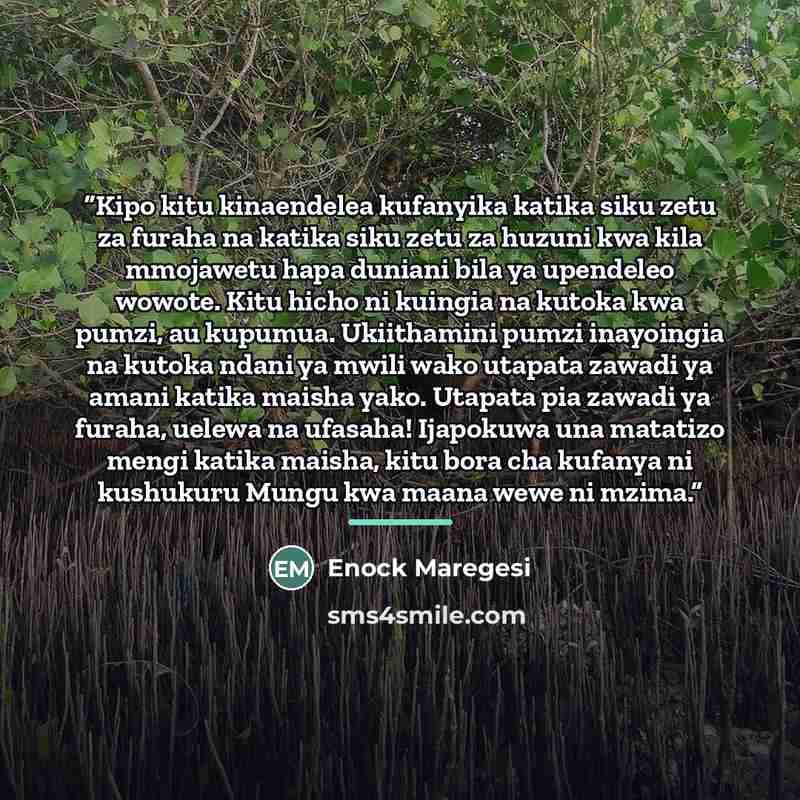 “Kipo kitu kinaendelea kufanyika katika siku zetu za furaha na katika siku zetu za huzuni kwa kila mmojawetu hapa duniani bila ya upendeleo wowote. Kitu hicho ni kuingia na kutoka kwa pumzi, au kupumua. Ukiithamini pumzi inayoingia na kutoka ndani ya mwili wako utapata zawadi ya amani katika maisha…” quote by Enock Maregesi