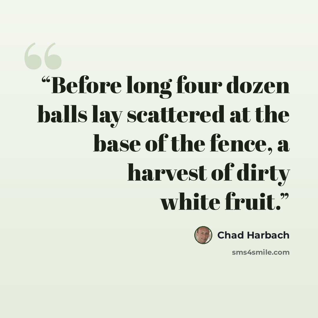 “Before long four dozen balls lay scattered at the base of the fence, a harvest of dirty white fruit.” quote by Chad Harbach