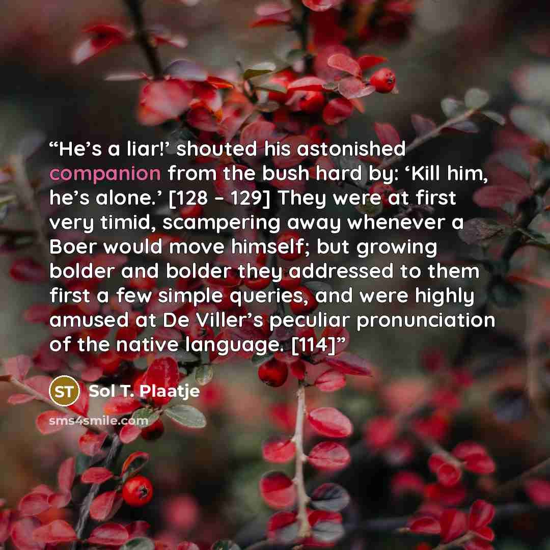 “He’s a liar!’ shouted his astonished companion from the bush hard by: ‘Kill him, he’s alone.’ [128 – 129] They were at first very timid, scampering away whenever a Boer would move himself; but growing bolder and bolder they addressed to them first a few simple queries, and were highly amused at De…” quote by Sol T. Plaatje