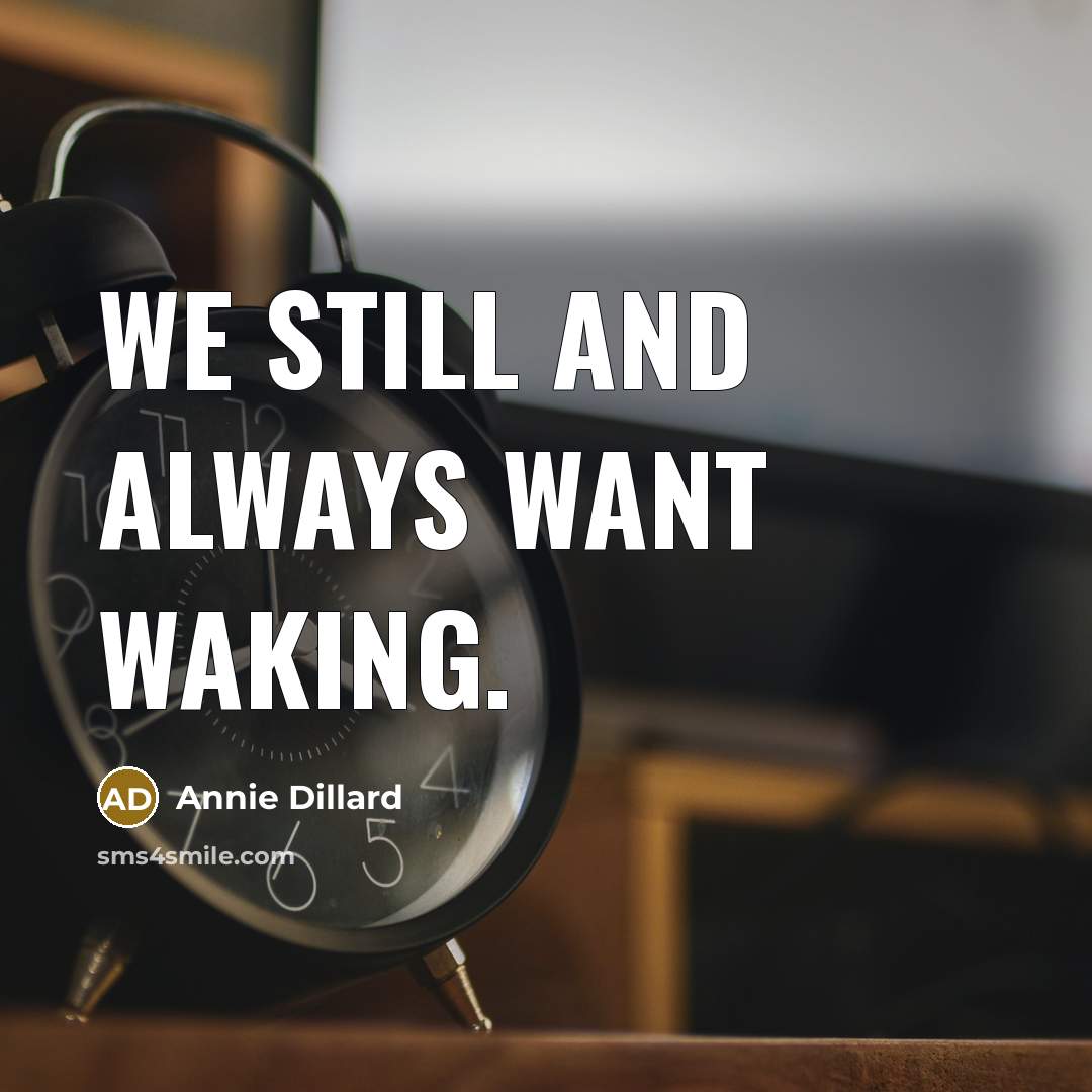 “We still and always want waking.” quote by Annie Dillard