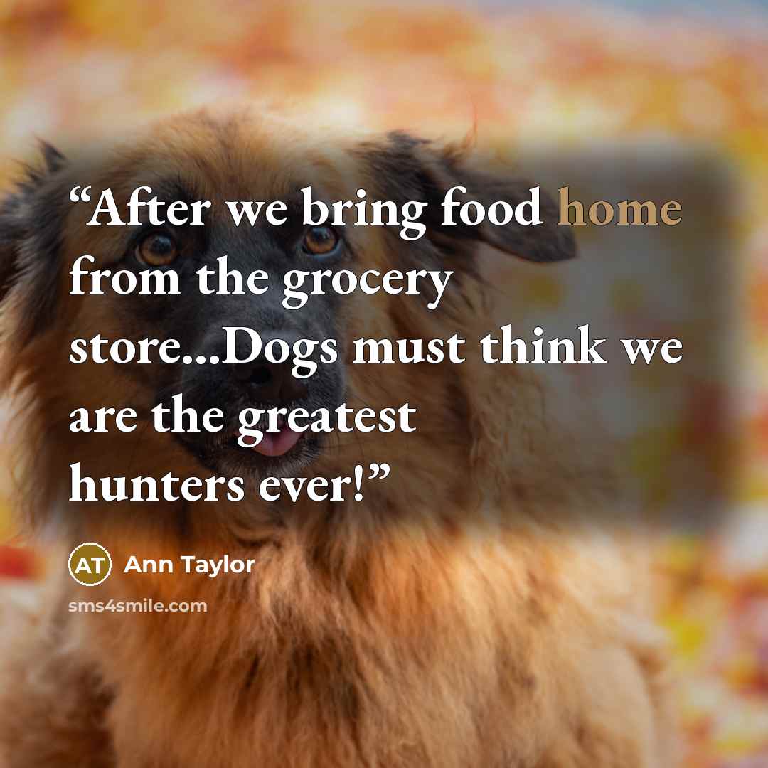 “After we bring food home from the grocery store...Dogs must think we are the greatest hunters ever!” quote by Ann Taylor