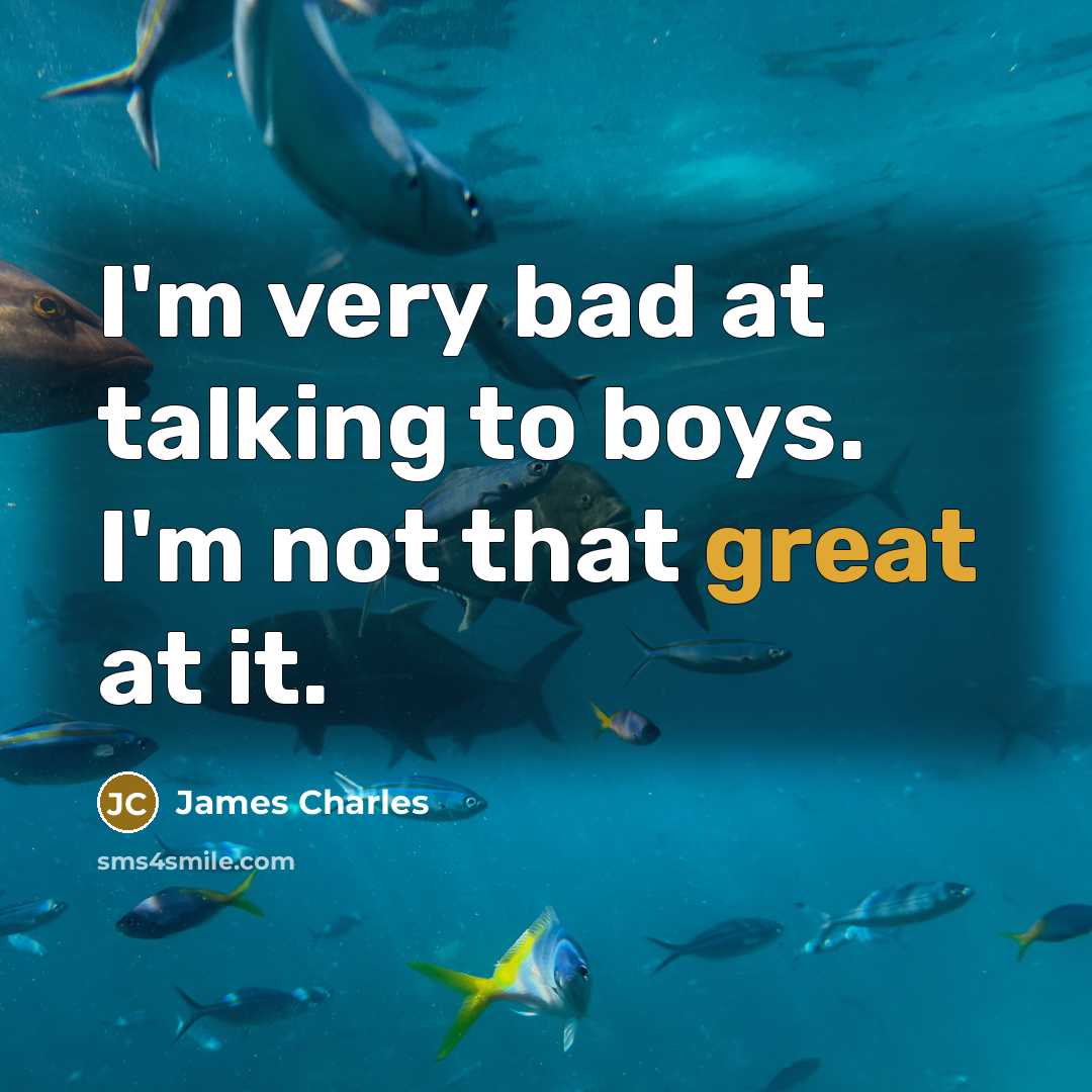 “I'm very bad at talking to boys. I'm not that great at it.” quote by James Charles