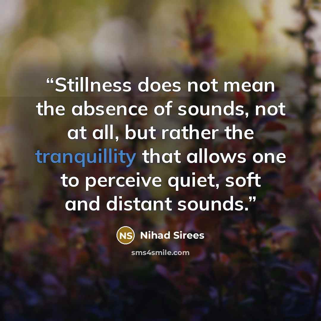 “Stillness does not mean the absence of sounds, not at all, but rather the tranquillity that allows one to perceive quiet, soft and distant sounds.” quote by Nihad Sirees
