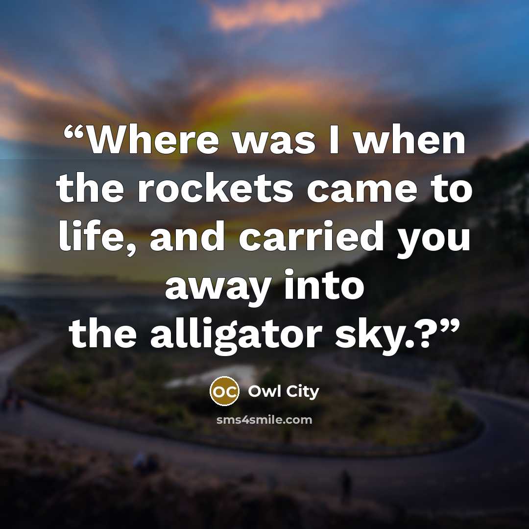 “Where was I when the rockets came to life, and carried you away into the alligator sky.?” quote by Owl City
