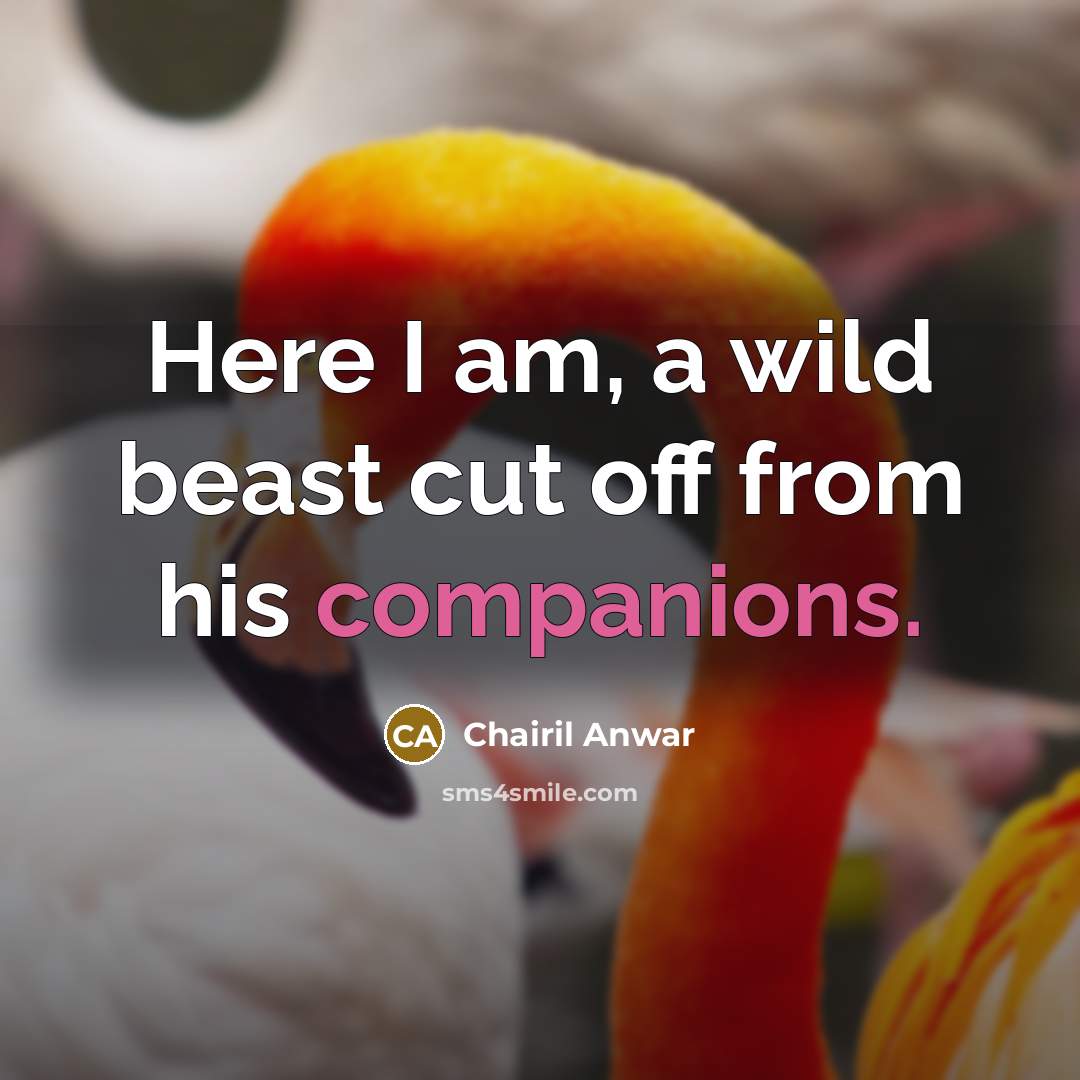 “Here I am, a wild beast cut off from his companions.” quote by Chairil Anwar