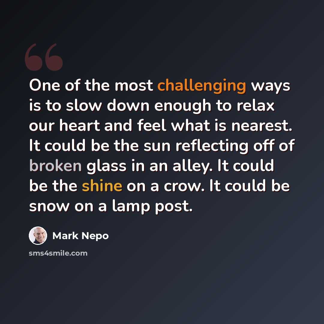 “One of the most challenging ways is to slow down enough to relax our heart and feel what is nearest. It could be the sun reflecting off of broken glass in an alley. It could be the shine on a crow. It could be snow on a lamp post.” quote by Mark Nepo