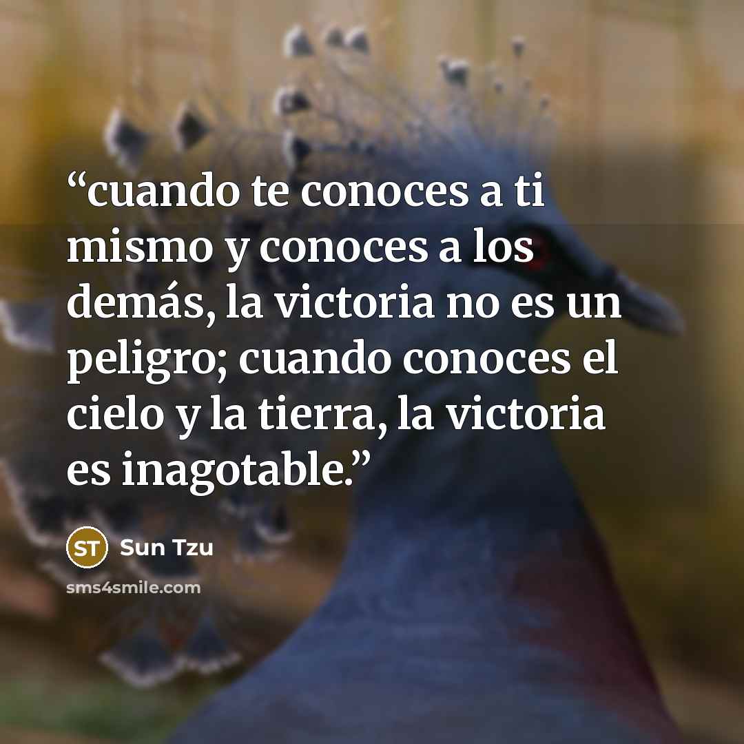 “cuando te conoces a ti mismo y conoces a los demás, la victoria no es un peligro; cuando conoces el cielo y la tierra, la victoria es inagotable.” quote by Sun Tzu