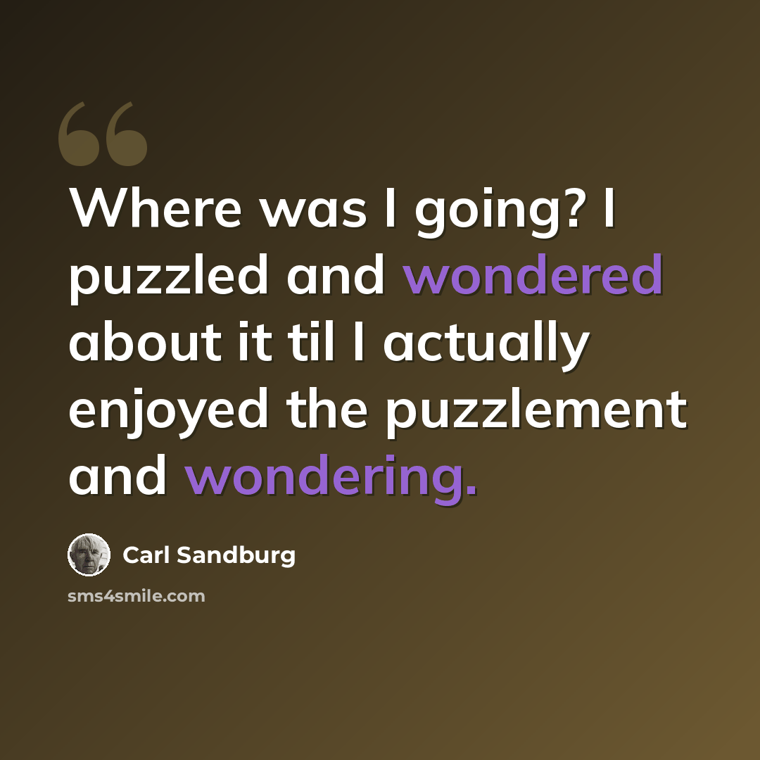 “Where was I going? I puzzled and wondered about it til I actually enjoyed the puzzlement and wondering.” quote by Carl Sandburg