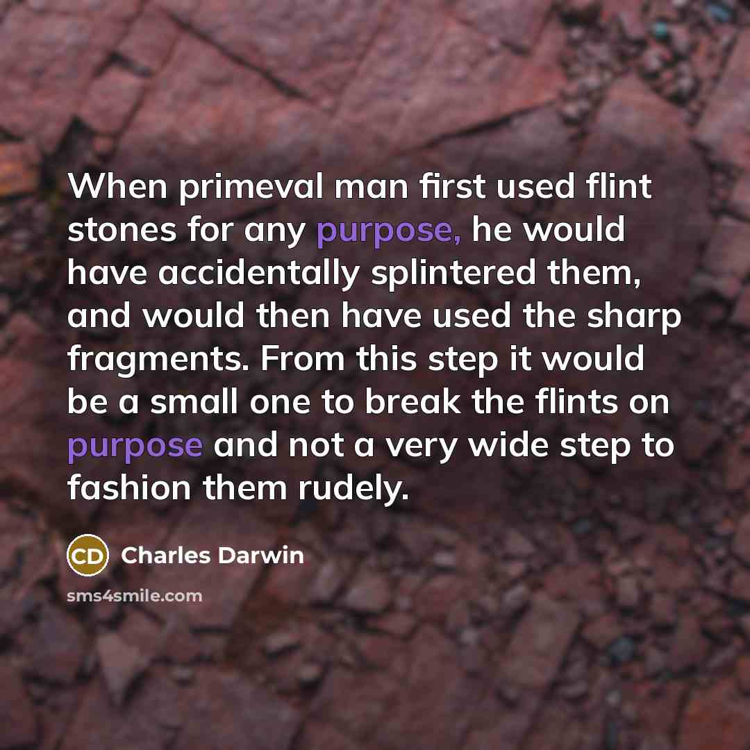 “When primeval man ﬁrst used ﬂint stones for any purpose, he would have accidentally splintered them, and would then have used the sharp fragments. From this step it would be a small one to break the ﬂints on purpose and not a very wide step to fashion them rudely.” quote by Charles Darwin