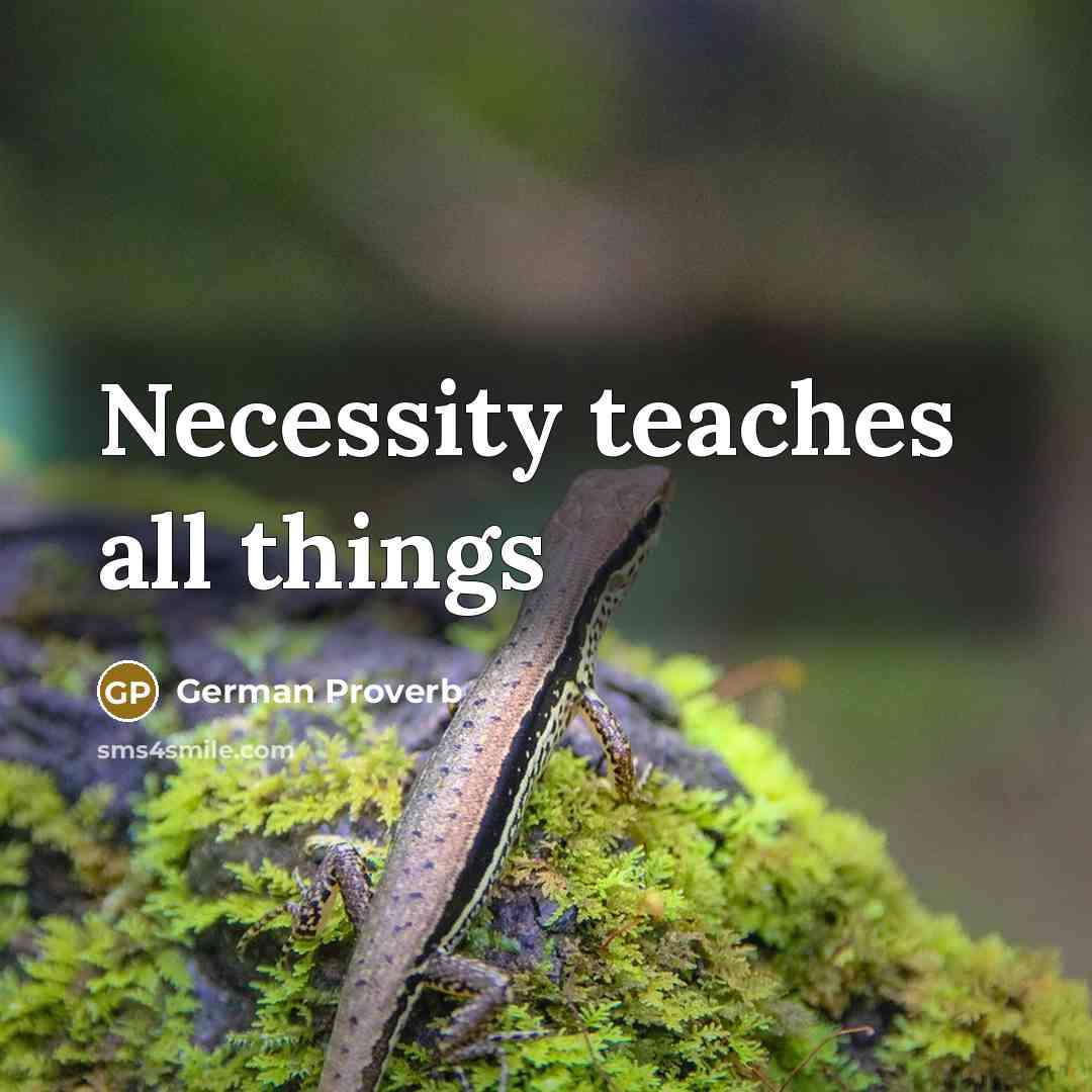 “Necessity teaches all things” quote by German Proverb