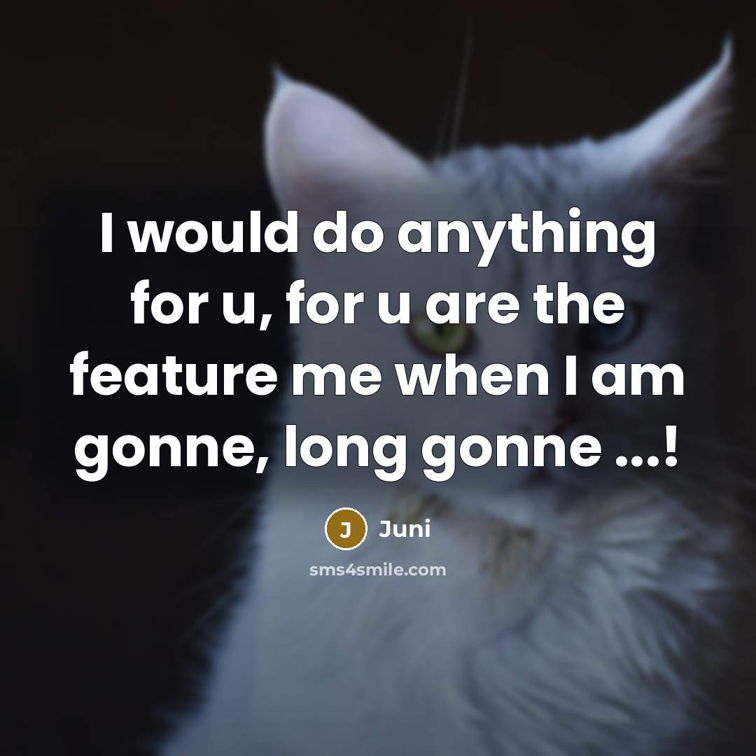 “I would do anything for u, for u are the feature me when I am gonne, long gonne ...!” quote by Juni