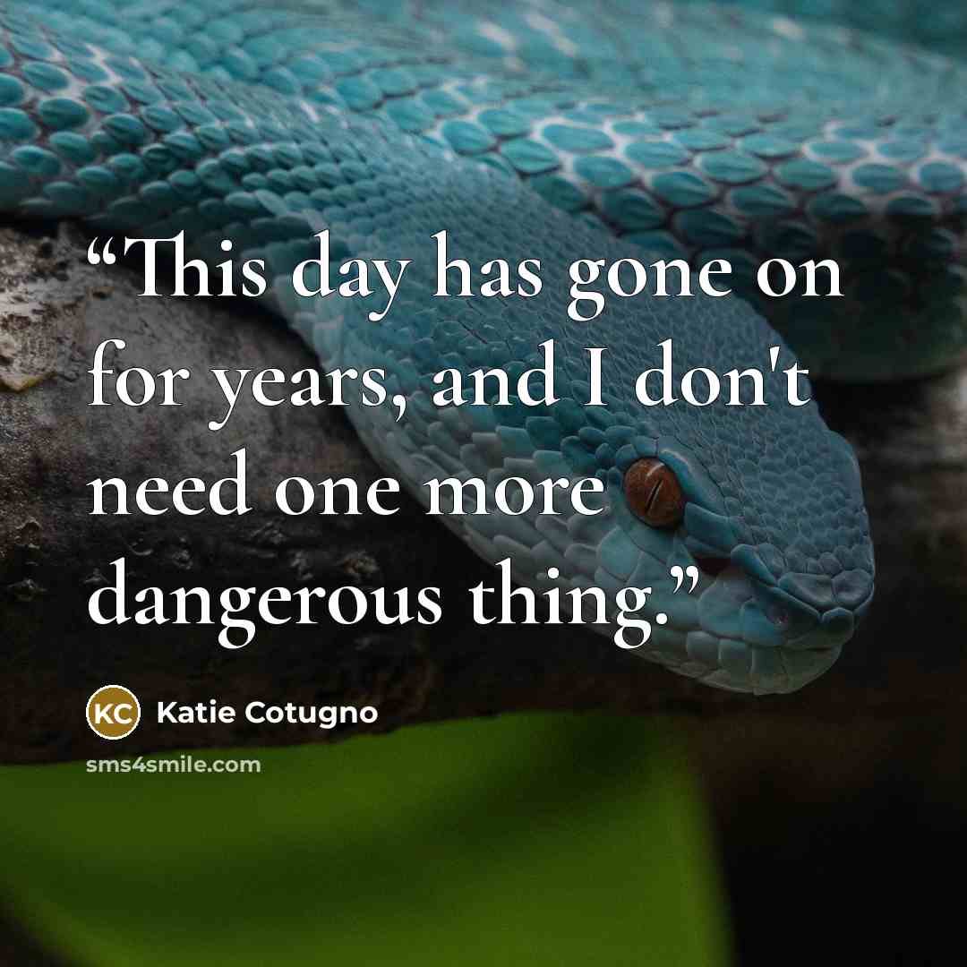 “This day has gone on for years, and I don't need one more dangerous thing.” quote by Katie Cotugno