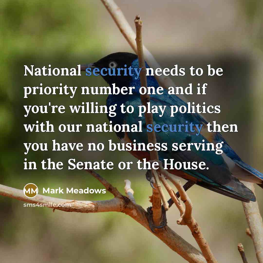 “National security needs to be priority number one and if you're willing to play politics with our national security then you have no business serving in the Senate or the House.” quote by Mark Meadows