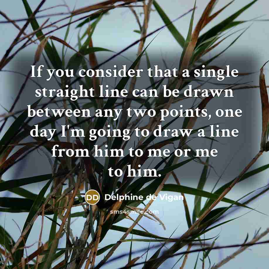 “If you consider that a single straight line can be drawn between any two points, one day I'm going to draw a line from him to me or me to him.” quote by Delphine de Vigan