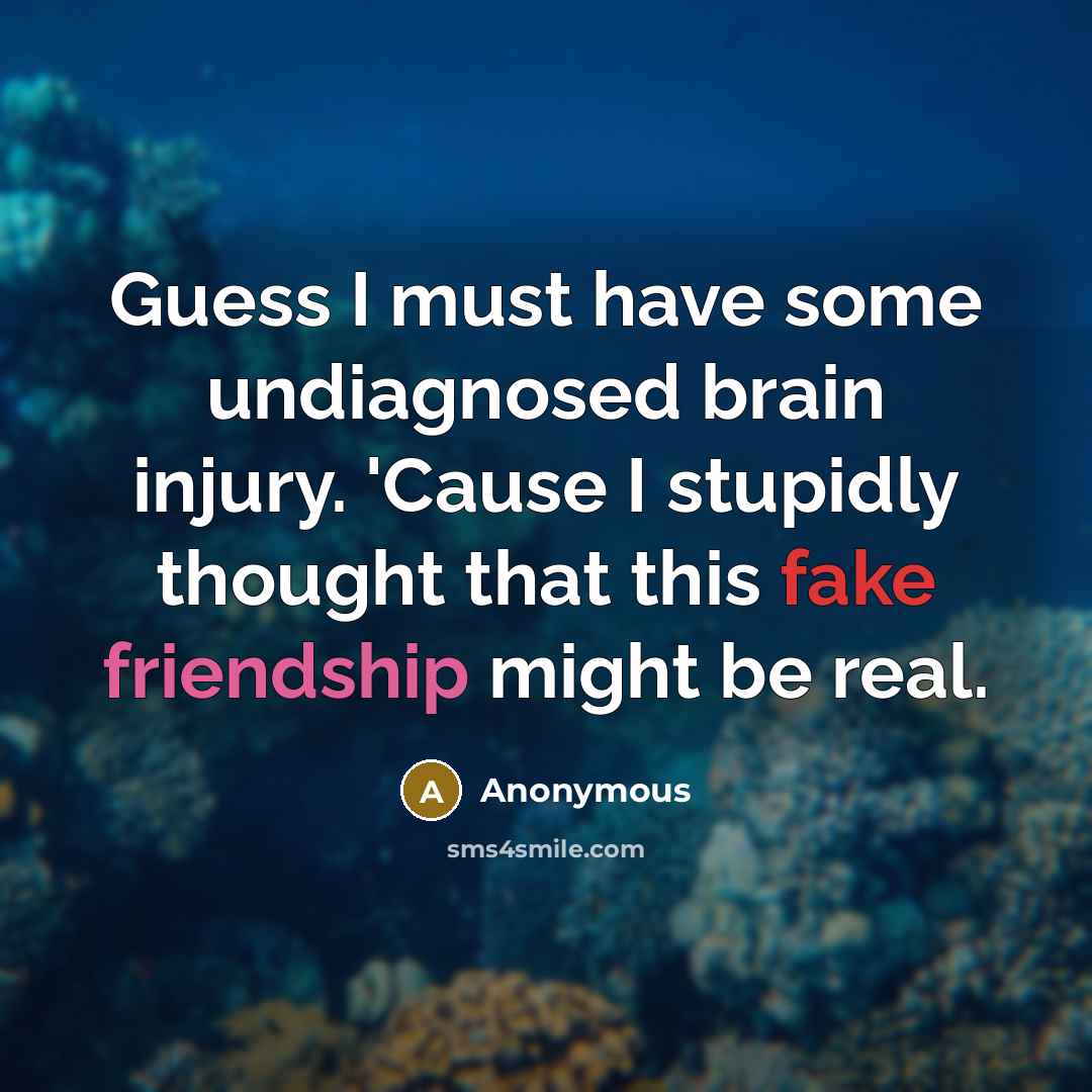 “Guess I must have some undiagnosed brain injury. 'Cause I stupidly thought that this fake friendship might be real.” quote by Anonymous