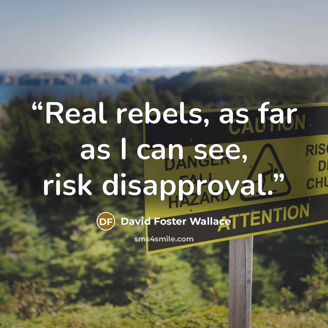 “Real rebels, as far as I can see, risk disapproval.” quote by David Foster Wallace