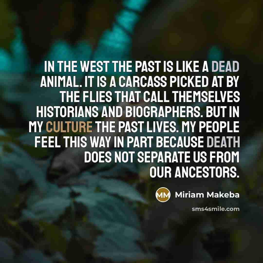 “In the West the past is like a dead animal. It is a carcass picked at by the flies that call themselves historians and biographers. But in my culture the past lives. My people feel this way in part because death does not separate us from our ancestors.” quote by Miriam Makeba
