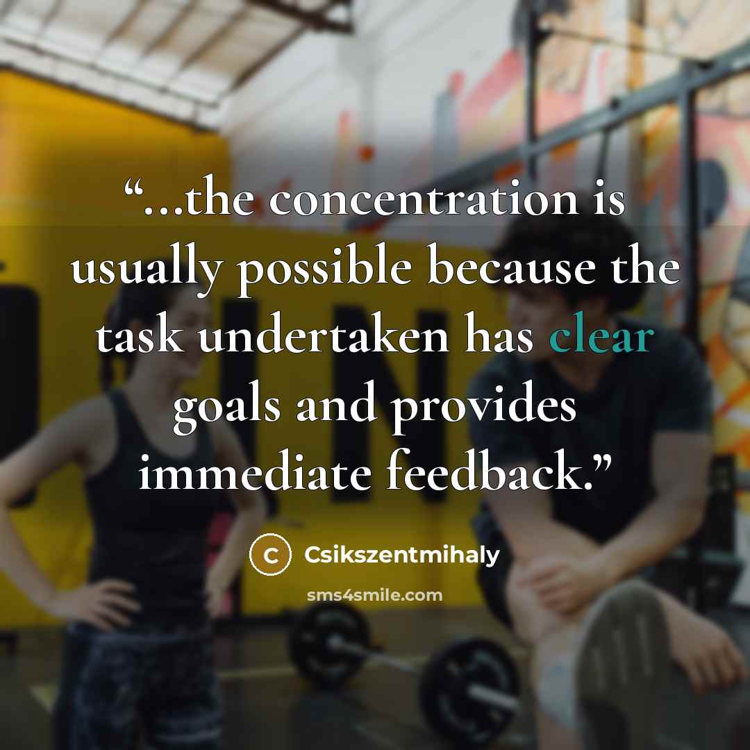 “...the concentration is usually possible because the task undertaken has clear goals and provides immediate feedback.” quote by Csikszentmihaly