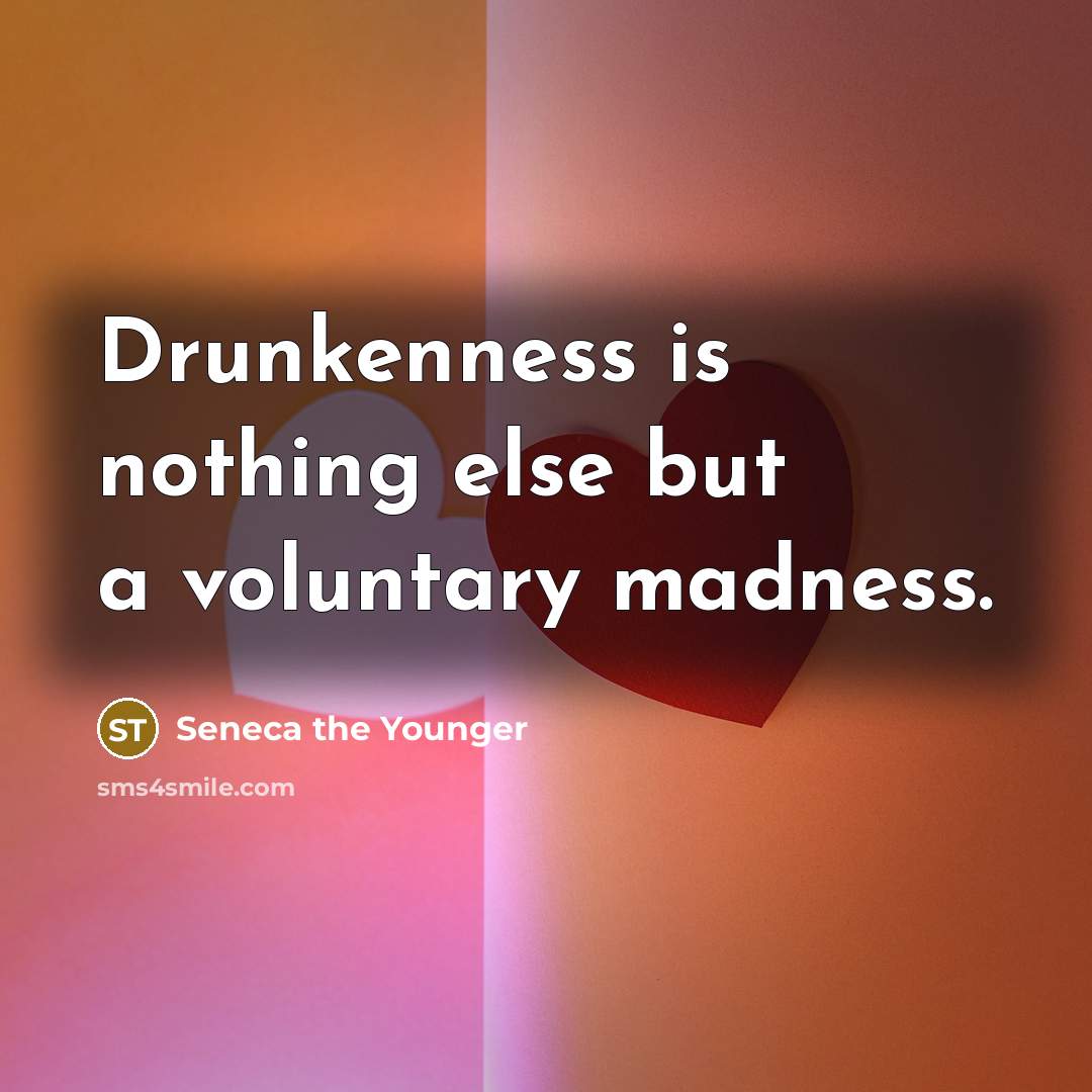 “Drunkenness is nothing else but a voluntary madness.” quote by Seneca the Younger