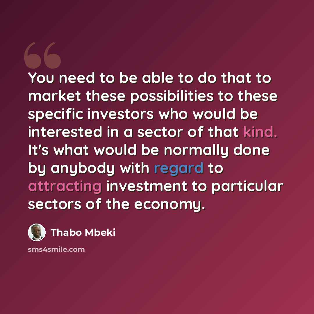 “You need to be able to do that to market these possibilities to these specific investors who would be interested in a sector of that kind. It's what would be normally done by anybody with regard to attracting investment to particular sectors of the economy.” quote by Thabo Mbeki