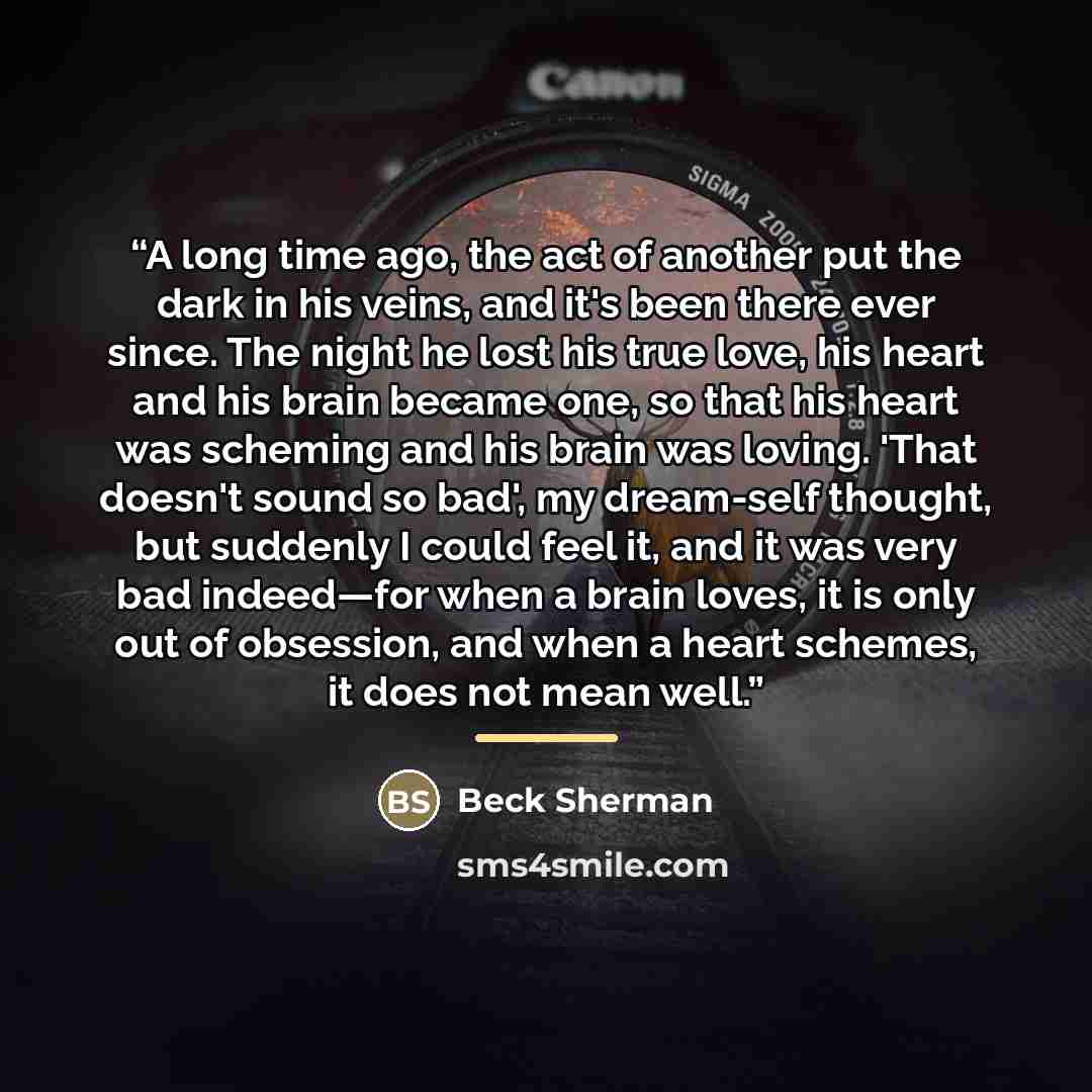 “A long time ago, the act of another put the dark in his veins, and it's been there ever since. The night he lost his true love, his heart and his brain became one, so that his heart was scheming and his brain was loving. 'That doesn't sound so bad', my dream-self thought, but suddenly I could feel…” quote by Beck Sherman