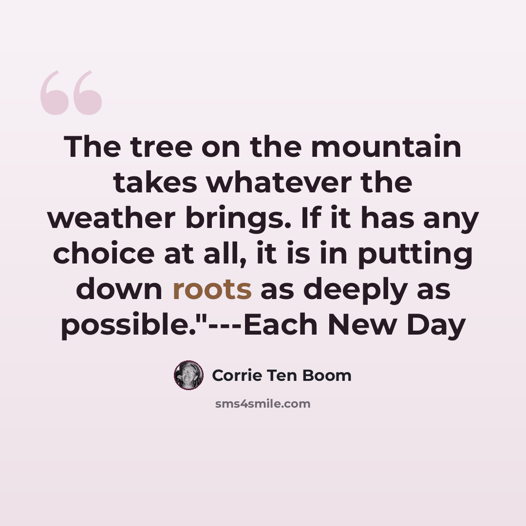 “The tree on the mountain takes whatever the weather brings. If it has any choice at all, it is in putting down roots as deeply as possible."---Each New Day” quote by Corrie Ten Boom