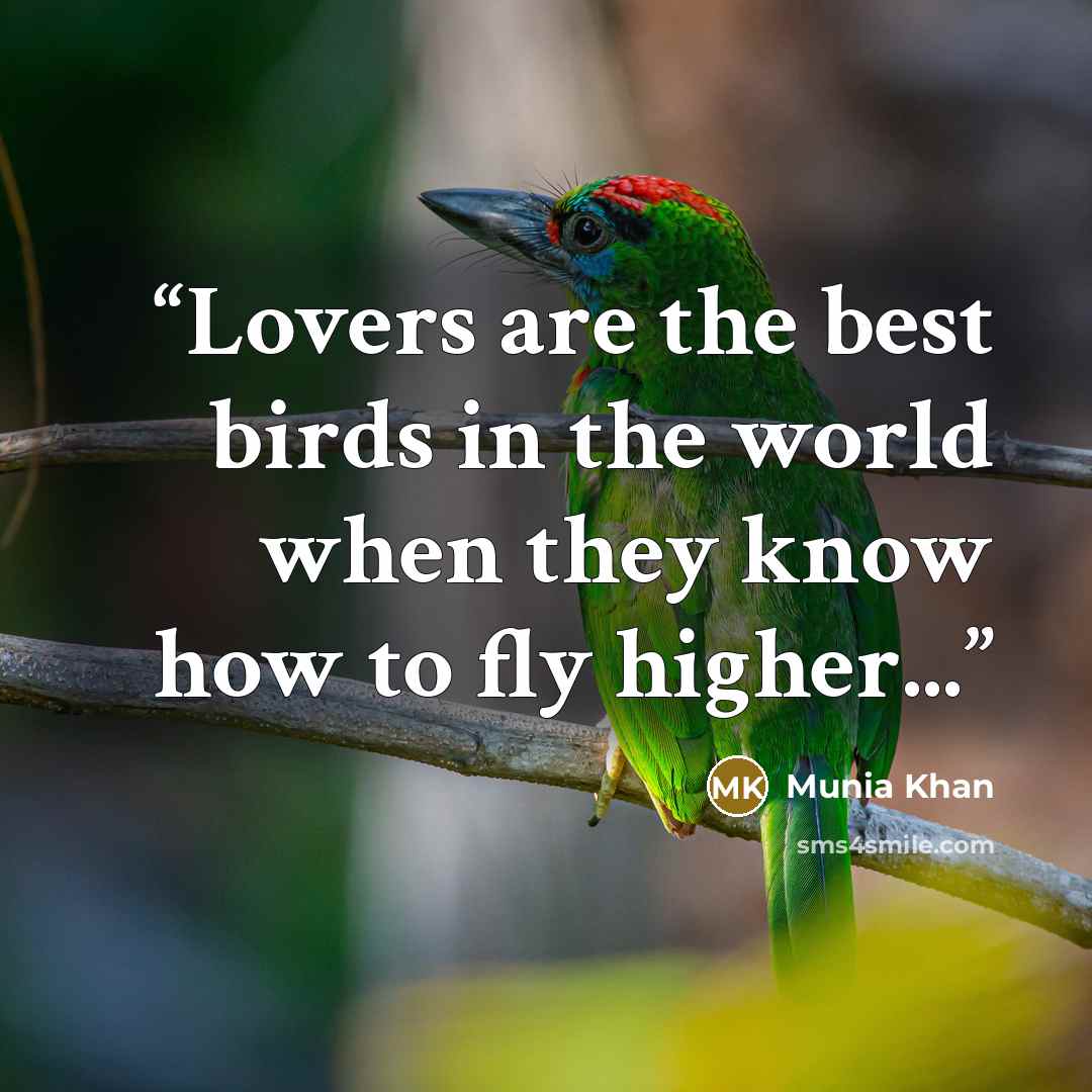 “Lovers are the best birds in the world when they know how to fly higher...” quote by Munia Khan
