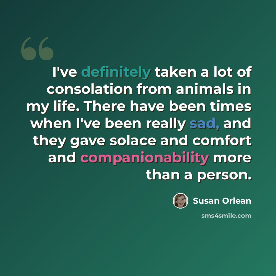 “I've definitely taken a lot of consolation from animals in my life. There have been times when I've been really sad, and they gave solace and comfort and companionability more than a person.” quote by Susan Orlean