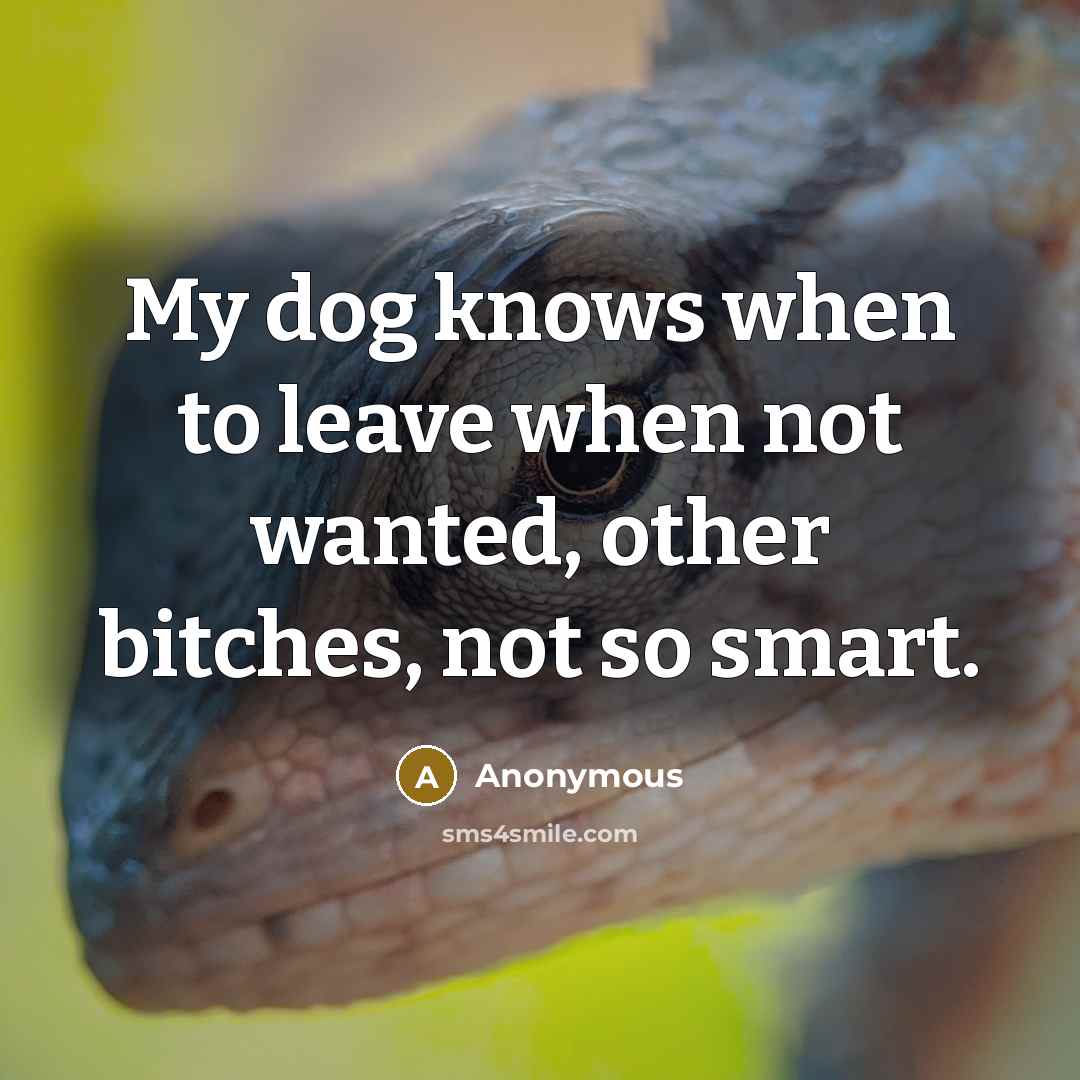“My dog knows when to leave when not wanted, other bitches, not so smart.” quote by Anonymous