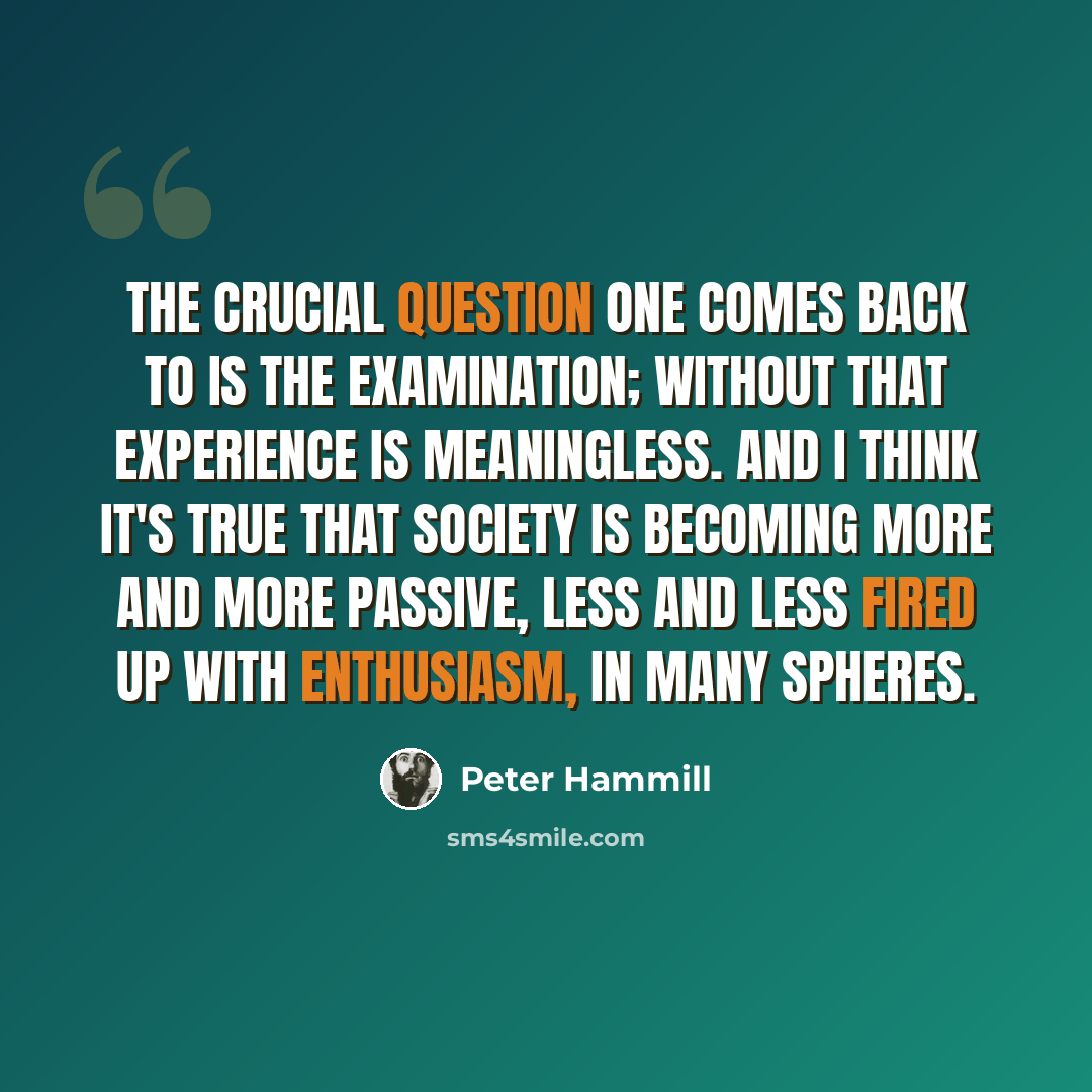 “The crucial question one comes back to is the examination; without that experience is meaningless. And I think it's true that society is becoming more and more passive, less and less fired up with enthusiasm, in many spheres.” quote by Peter Hammill