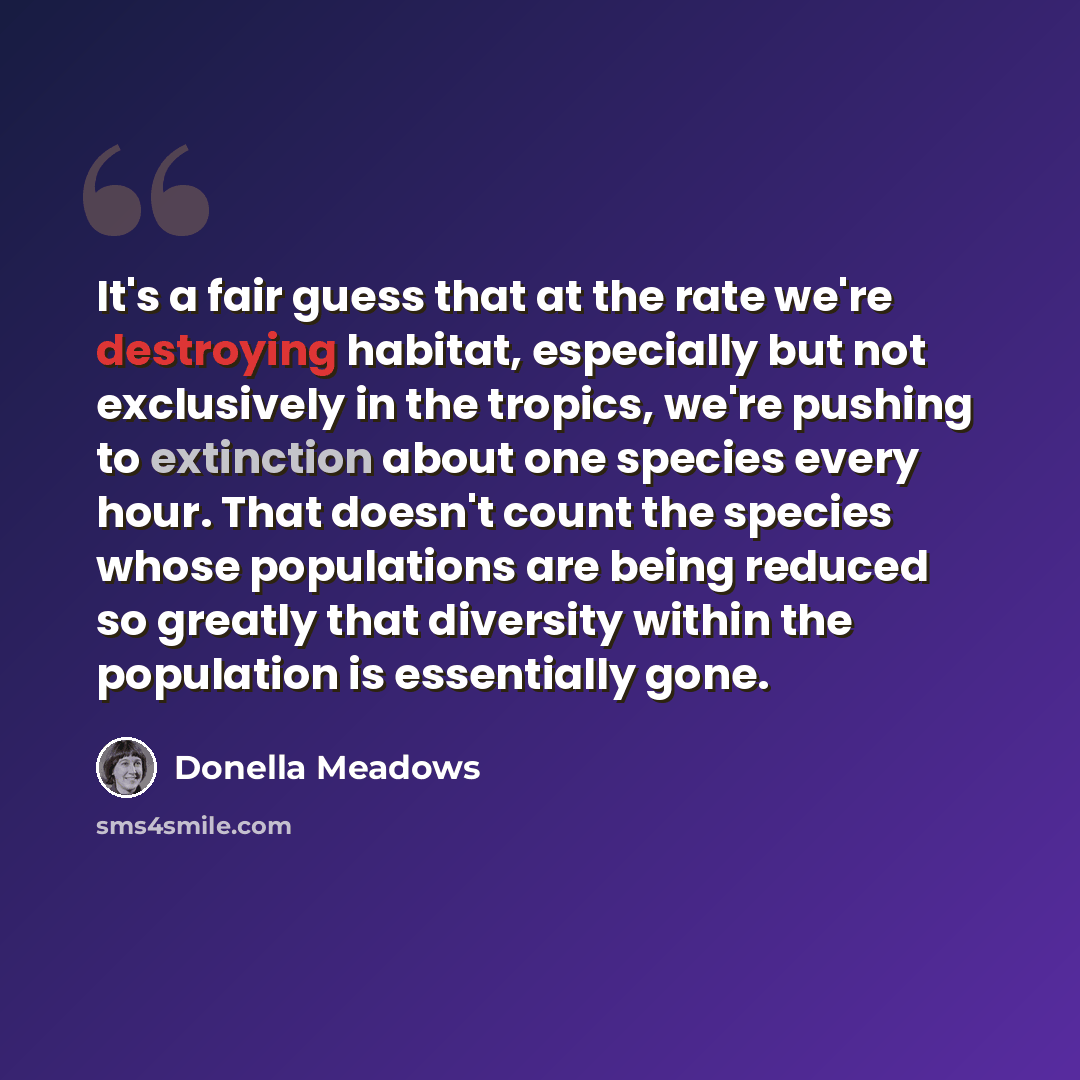 “It's a fair guess that at the rate we're destroying habitat, especially but not exclusively in the tropics, we're pushing to extinction about one species every hour. That doesn't count the species whose populations are being reduced so greatly that diversity within the population is essentially…” quote by Donella Meadows