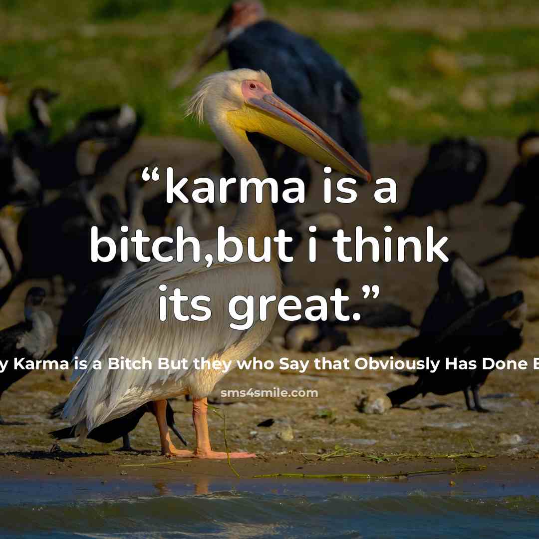 “karma is a bitch,but i think its great.” quote by People Say Karma is a Bitch But they who Say that Obviously Has Done Bad to Another
