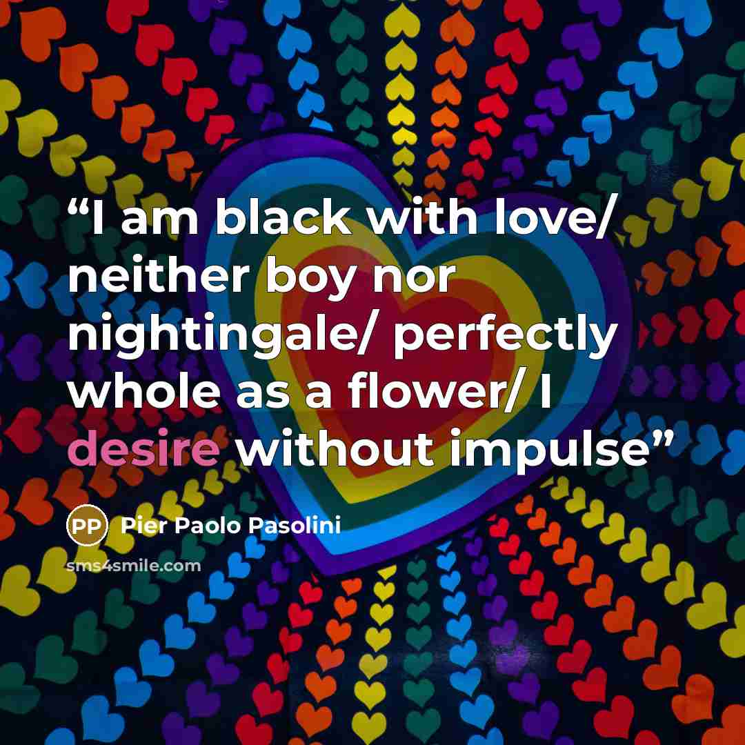 “I am black with love/ neither boy nor nightingale/ perfectly whole as a flower/ I desire without impulse” quote by Pier Paolo Pasolini