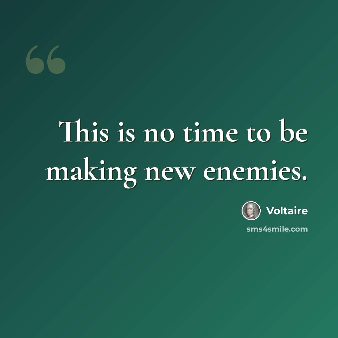 “This is no time to be making new enemies.” quote by Voltaire