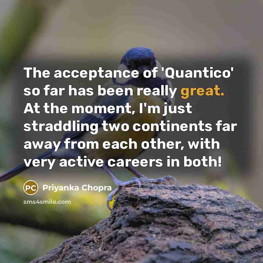 “The acceptance of 'Quantico' so far has been really great. At the moment, I'm just straddling two continents far away from each other, with very active careers in both!” quote by Priyanka Chopra