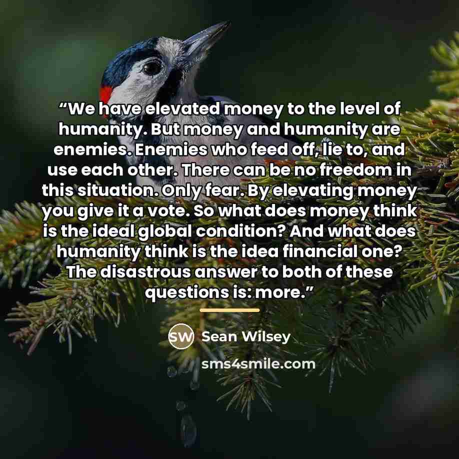 “We have elevated money to the level of humanity. But money and humanity are enemies. Enemies who feed off, lie to, and use each other. There can be no freedom in this situation. Only fear. By elevating money you give it a vote. So what does money think is the ideal global condition? And what does…” quote by Sean Wilsey