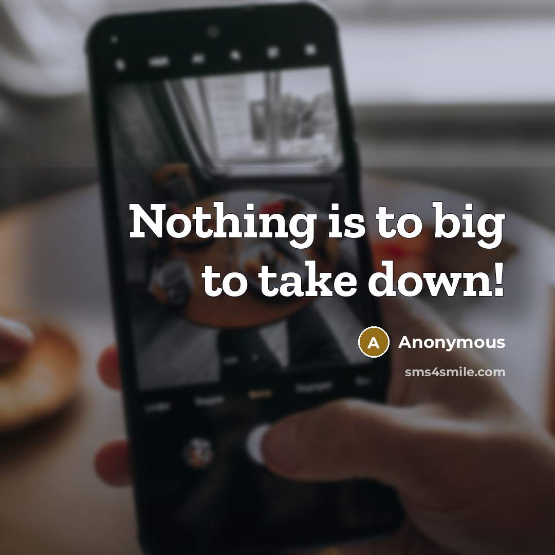 “Nothing is to big to take down!” quote by Anonymous