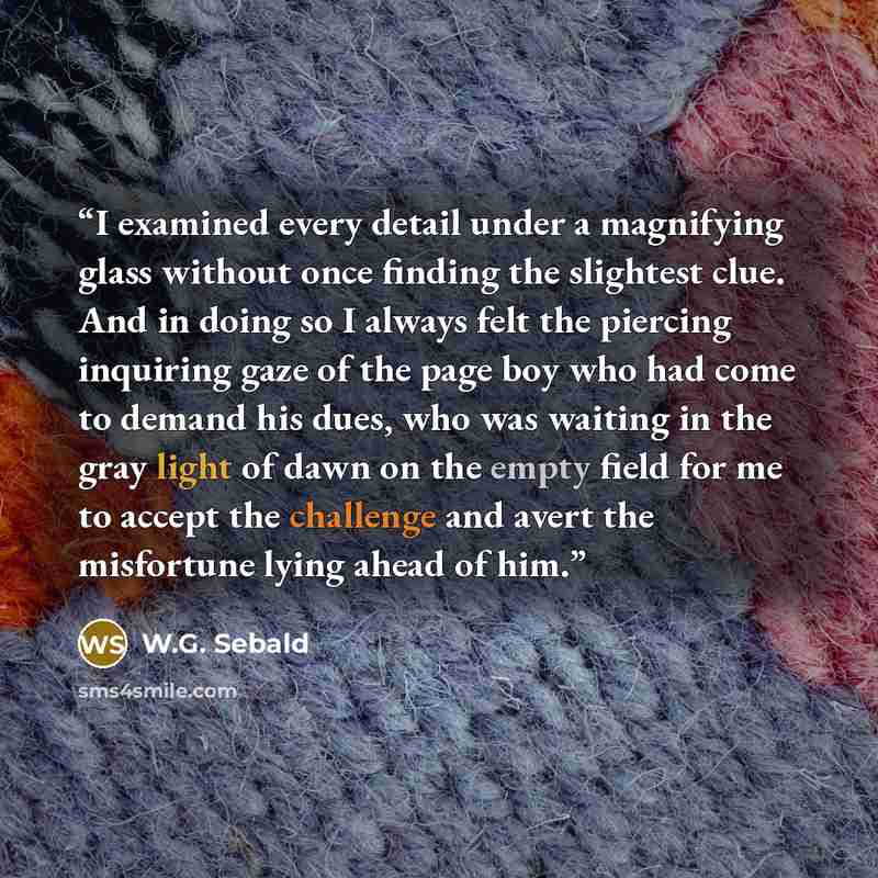 “I examined every detail under a magnifying glass without once finding the slightest clue. And in doing so I always felt the piercing inquiring gaze of the page boy who had come to demand his dues, who was waiting in the gray light of dawn on the empty field for me to accept the challenge and avert…” quote by W.G. Sebald
