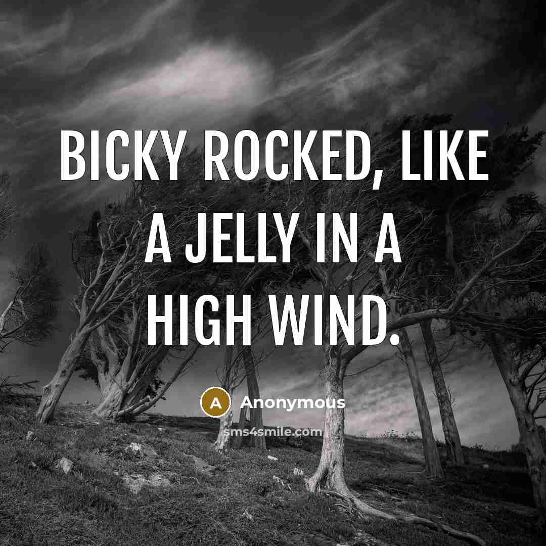 “Bicky rocked, like a jelly in a high wind.” quote by Anonymous