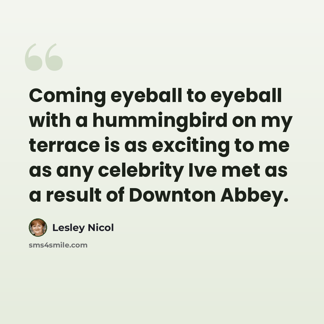 “Coming eyeball to eyeball with a hummingbird on my terrace is as exciting to me as any celebrity Ive met as a result of Downton Abbey.” quote by Lesley Nicol